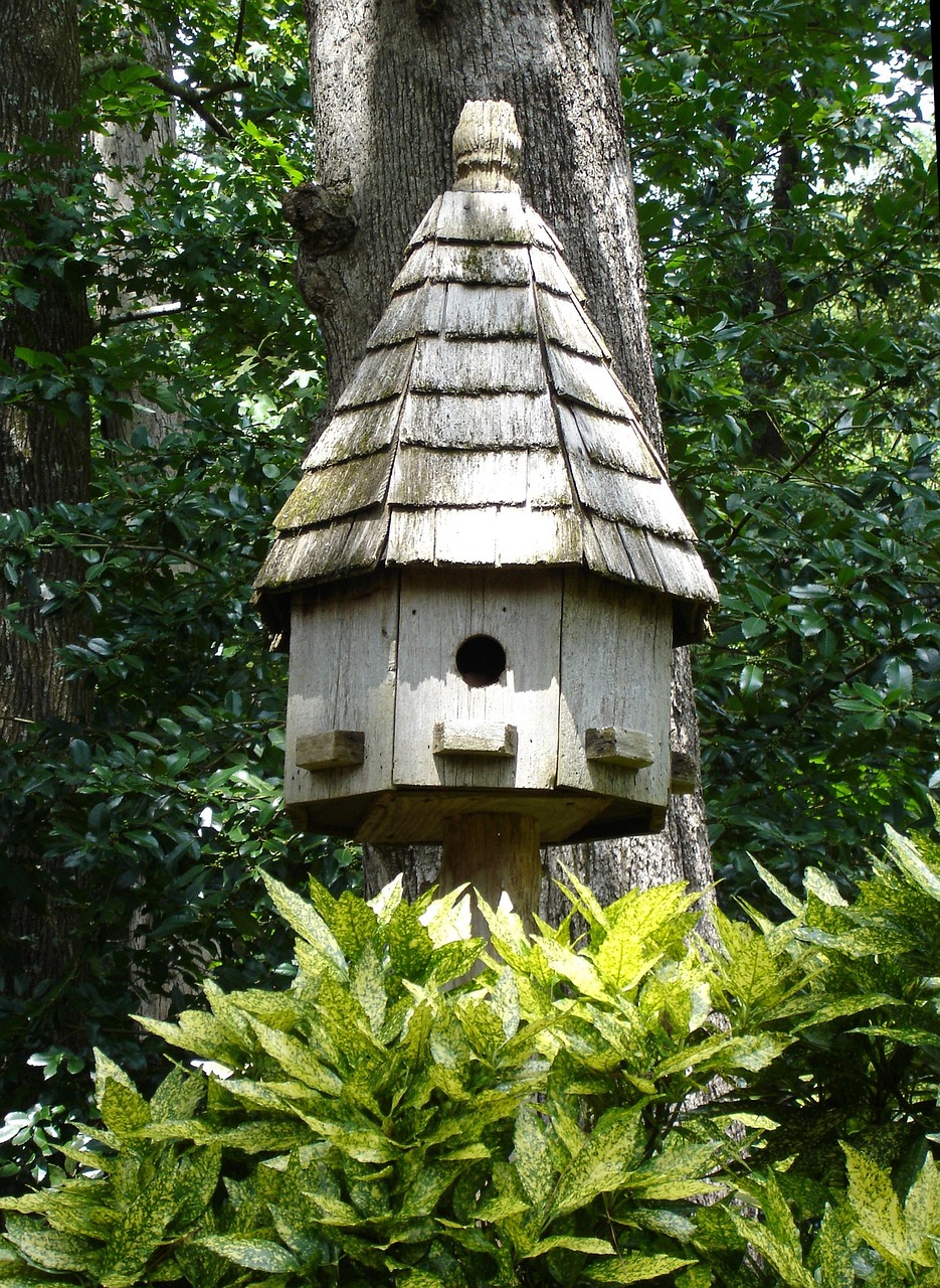 DIY : construire un nichoir à oiseaux pour débutants découvrez tout sur les birdhouses : astuces de fabrication, idées déco et conseils pour attirer les oiseaux dans votre jardin.