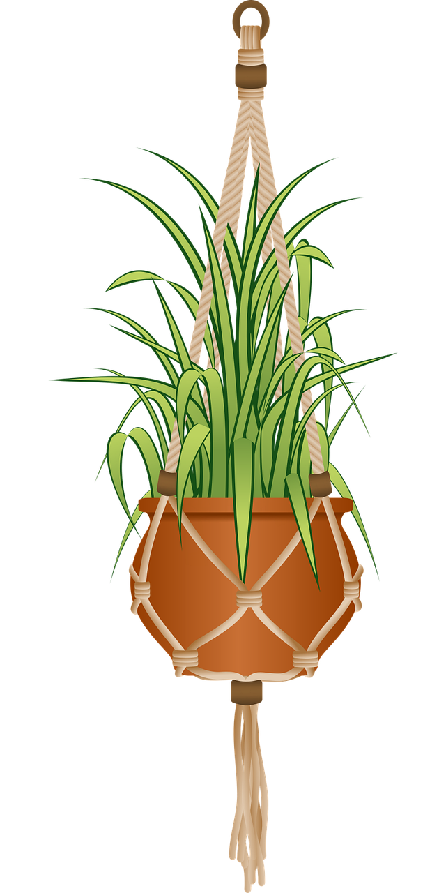 apportez une touche de verdure à votre intérieur ou extérieur avec un hanging planter design. idéal pour suspendre vos plantes préférées et optimiser l'espace tout en décorant élégamment votre maison.