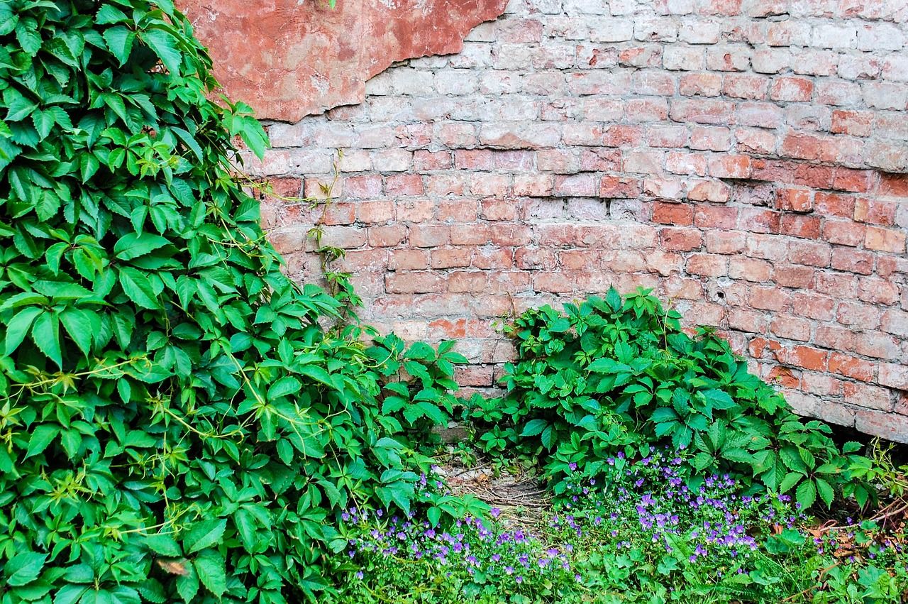 Comment réparer des fissures dans un mur réparation de fissures dans les murs : solutions efficaces pour restaurer la solidité et l'esthétique de vos murs rapidement et durablement.