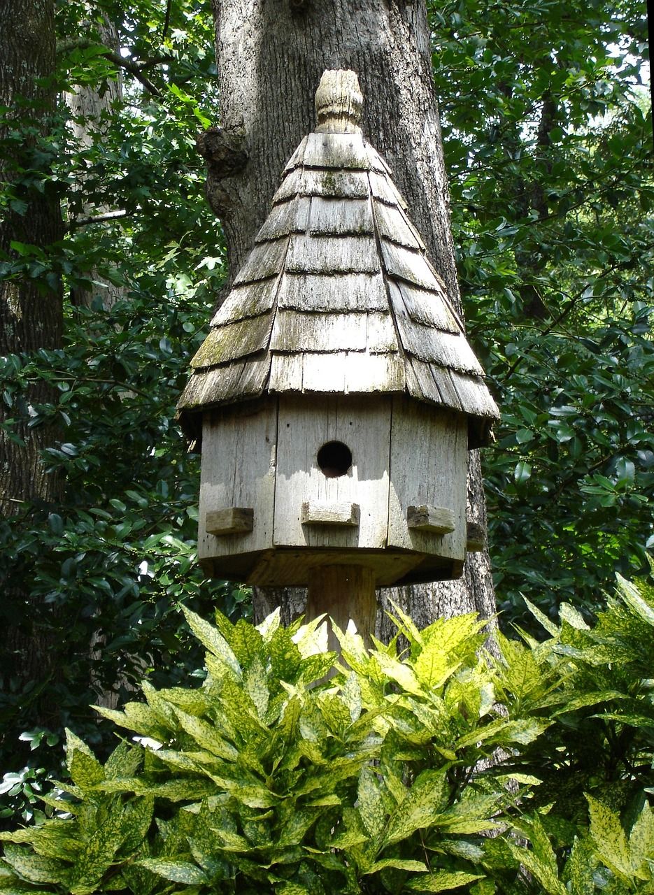 DIY : construire un nichoir à oiseaux pour débutants découvrez tout sur les birdhouses : astuces de fabrication, idées déco et conseils pour attirer les oiseaux dans votre jardin.
