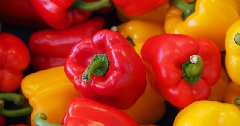 Poivrons à l'air fryer : la cuisson parfaite, croustillante et rapide