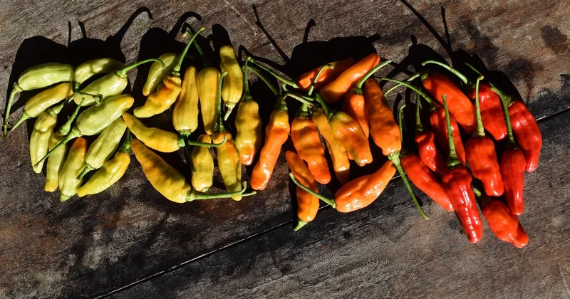 3 recettes de poivrons à tester cette semaine