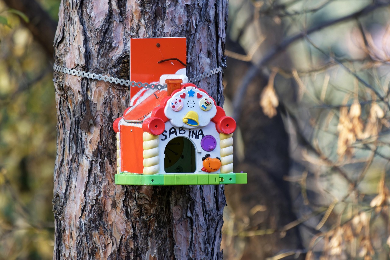 DIY : construire un nichoir à oiseaux pour débutants