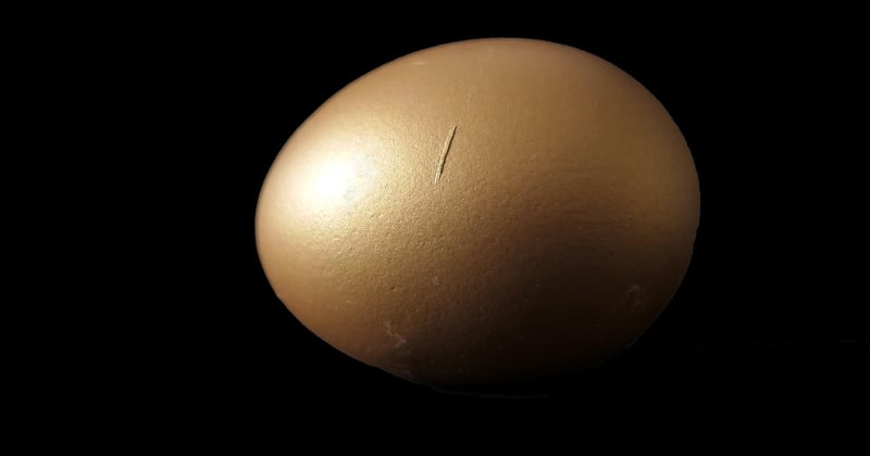 Oeuf dur air fryer : la méthode parfaite en 10 minutes
