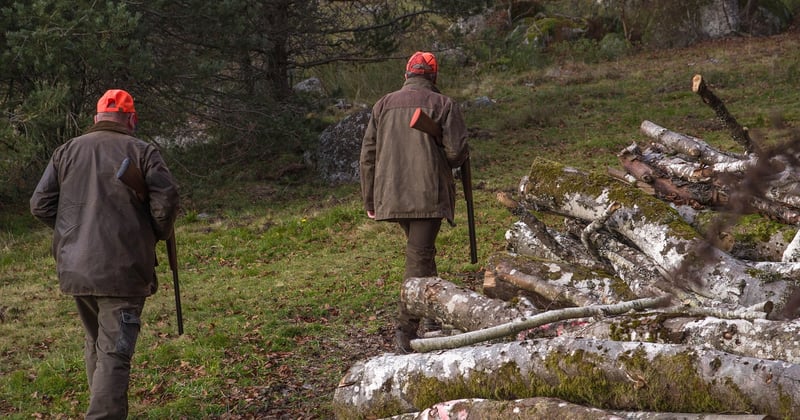 Armoire à fusil : le guide ultime pour sécuriser vos armes