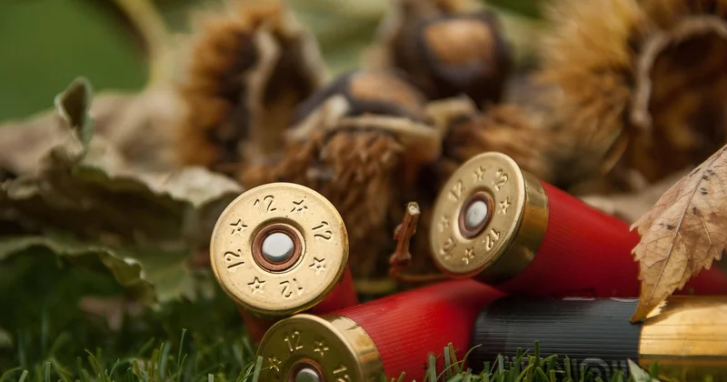 Ce que personne ne vous dit sur les munitions
