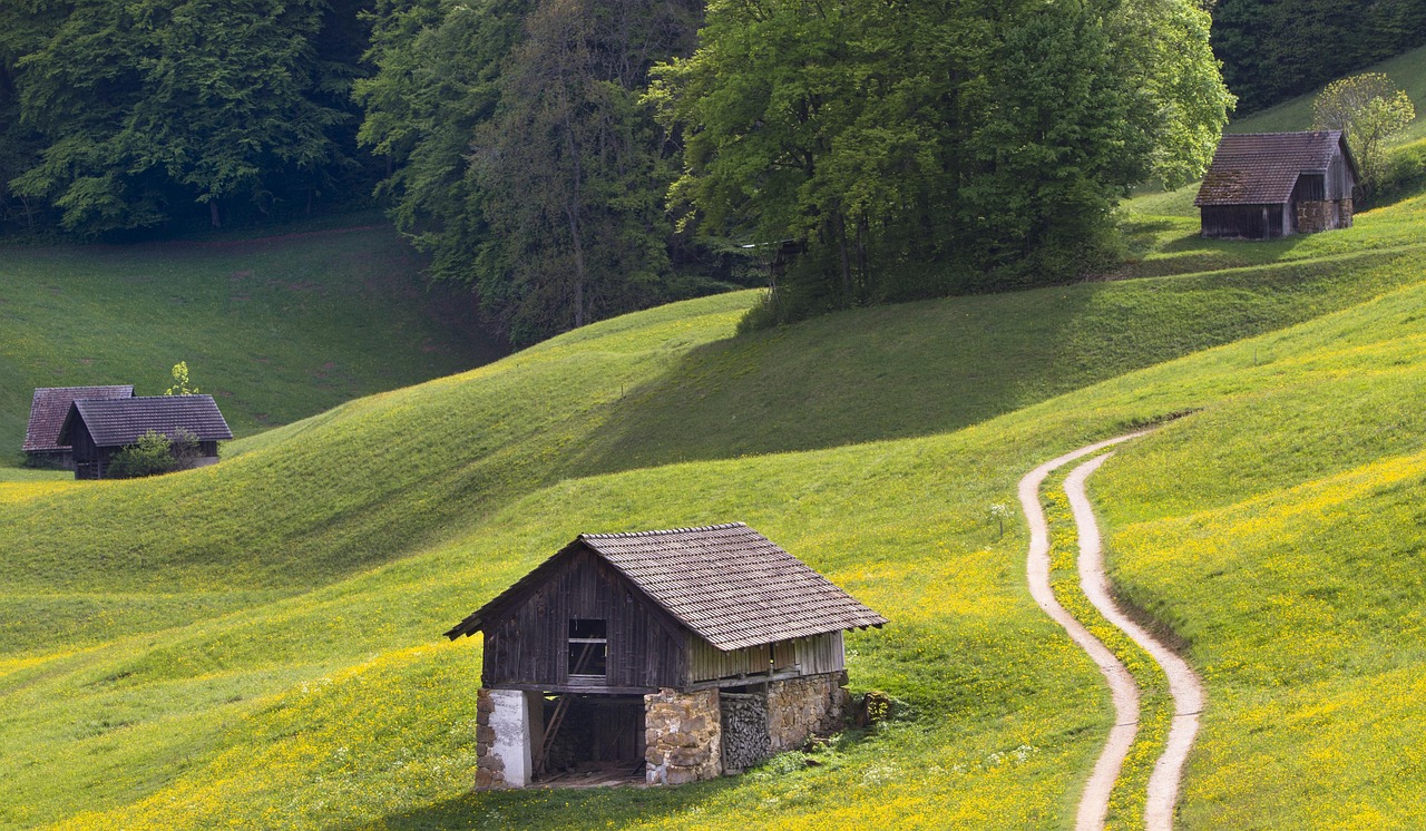 construisez votre propre abri de jardin en bois avec notre guide diy facile à suivre, parfait pour organiser votre espace extérieur.